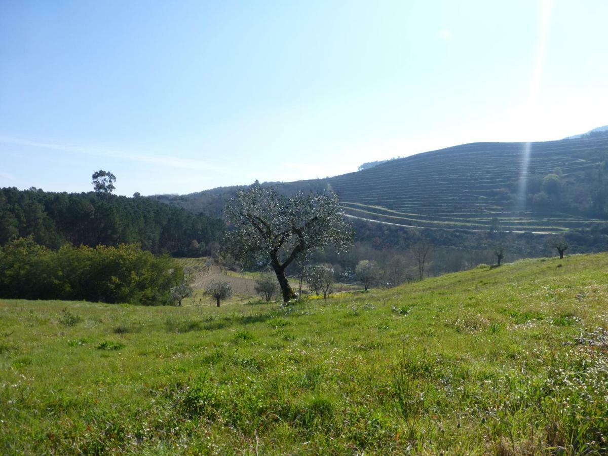 Casa Retiro De Lisei Hébergement de vacances